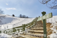 해발 700m, 평창의 멋에 빠지다 사진 24