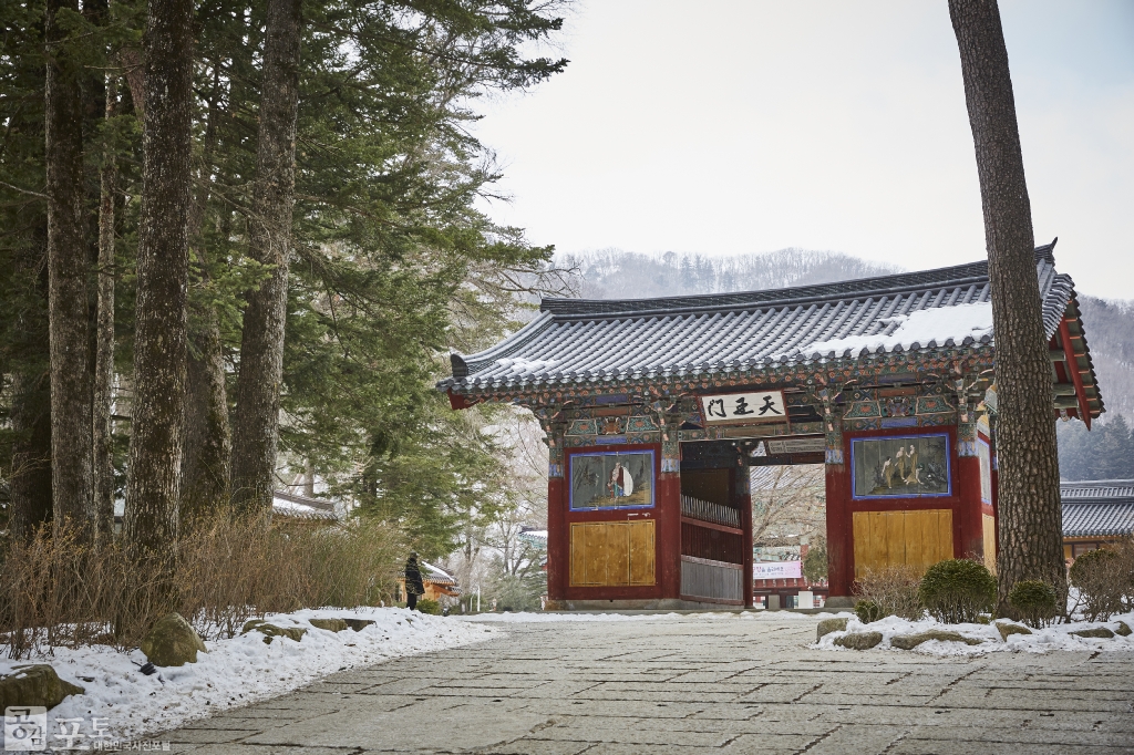 강원도 평창군 진부면에 위치한 오대산 월정사는 통일신라 선덕여왕 때인 643년 자장율사가 건립한 절로 무려 1400년 된 천년 고찰이다. 주요 문화재로 석가의 사리를 봉안하기 위해 건립한 국보 제48호인 팔각구층석탑과 상원사 중창권선문이 있다.<br/>
<br/>

- 대한민국 테마여행 10선 '평창로드' (1일차 코스) 