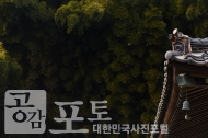 근대의 숨결을 느끼는 군산 역사여행 사진 3