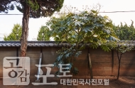 근대의 숨결을 느끼는 군산 역사여행 사진 32