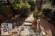 근대의 숨결을 느끼는 군산 역사여행 사진 30