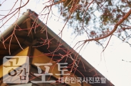 근대의 숨결을 느끼는 군산 역사여행 사진 18