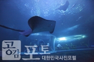 해양관광 중심 도시, 여수 사진 1