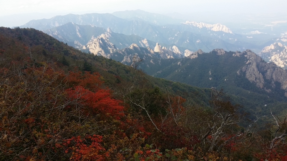 올해 설악산(1,708m)의 첫 단풍이 오늘(9월 22일)시작되었습니다. 이는 작년보다 4일 빠르고, 평년보다는 5일 빠른 수준이며,설악산 단풍이 평년보다 빨리 든 이유는 큰 일교차와 많은 일조시간 때문인 것으로 분석됩니다.