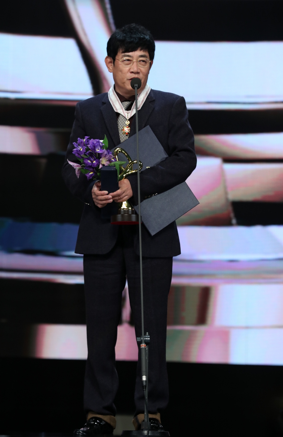 2017 대한민국 대중문화예술상 시상식이 11월 3일 서울 중구 국립극장 해오름극장에서 열렸다.