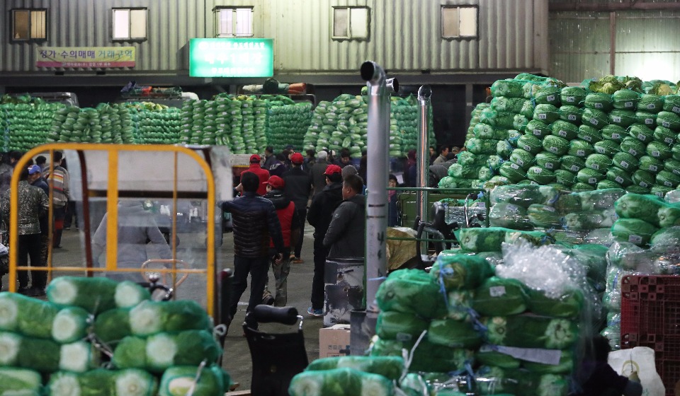 11월 15일 늦은 저녁 김장철을 맞은 서울 송파구 가락동 농수산물시장에서 트럭에 쌓인 배추를 두고 경매가 이루어지고 있다.