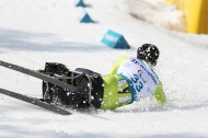 2018 평창동계패럴림픽 남여 크로스컨트리스키 1.1㎞ 스프린트 좌식 경기 사진 10