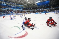 2018 평창동계패럴림픽 아이스하키 대한민국 대 캐나다 준결승 경기 사진 8