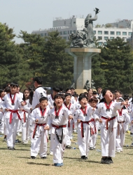  8,000여명의 태권도인 품새 세계기네스 기록 도전 성공 사진 21