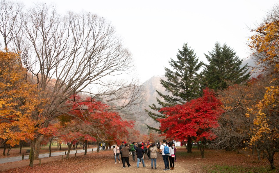 만추의 내장산