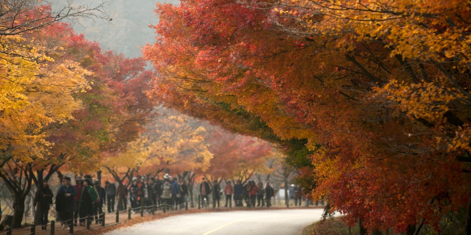 만추의 내장산