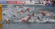 오픈워터 수영 남자 10km 결승 경기 사진 9