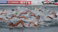 오픈워터 수영 남자 10km 결승 경기 사진 15