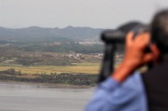 추수를 기다리는 남북한의 논들 사진 8