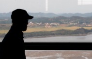 추수를 기다리는 남북한의 논들 사진 12