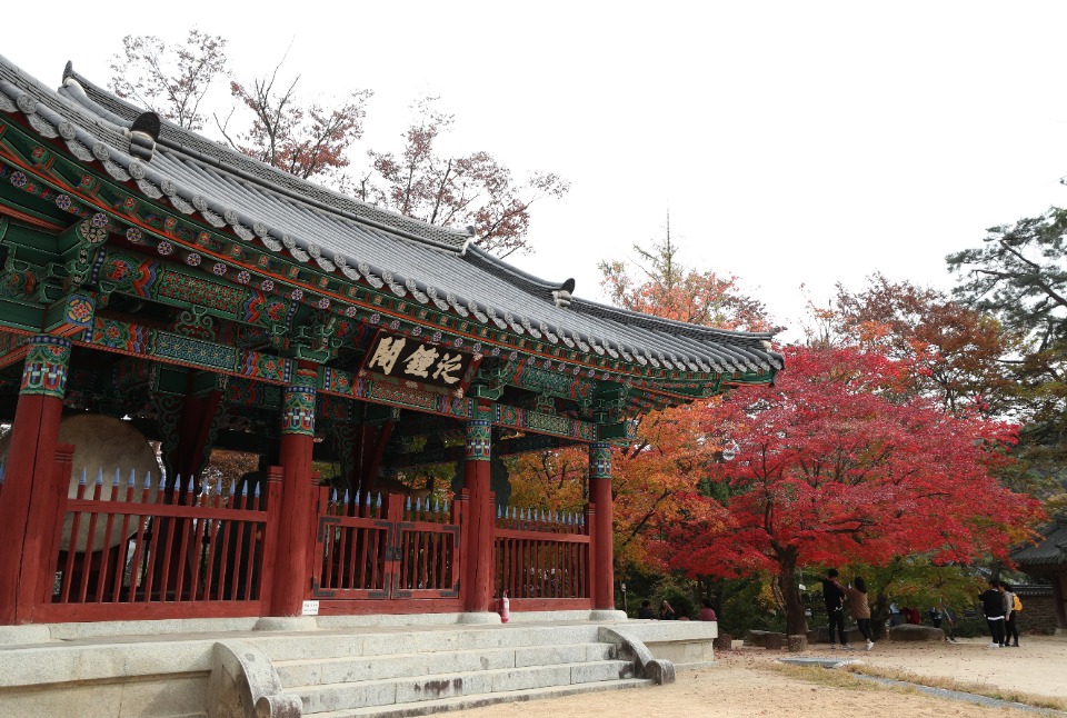 2일 경북 김천에 있는 직지사에 가을 단풍이 곱게 물들고 있다.