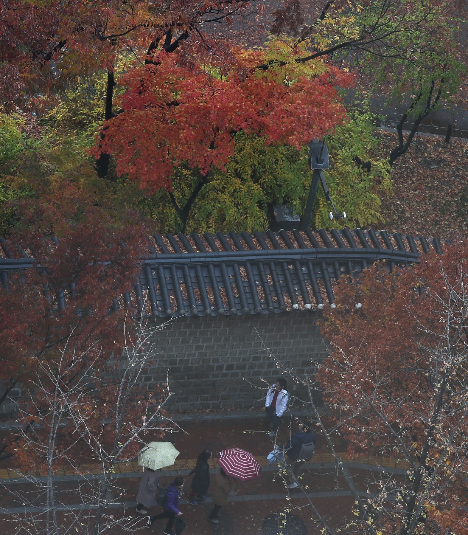 가을비가 조금 내린 15일 오후, 서울 중구 덕수궁에 단풍이 점점 갈색으로 변하고 있다. 
