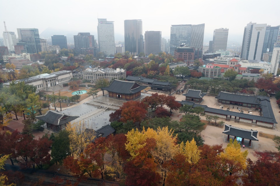 가을비가 조금 내린 15일 오후, 서울 중구 덕수궁에 단풍이 점점 갈색으로 변하고 있다. 
