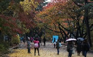 아쉬운 가을 사진 7