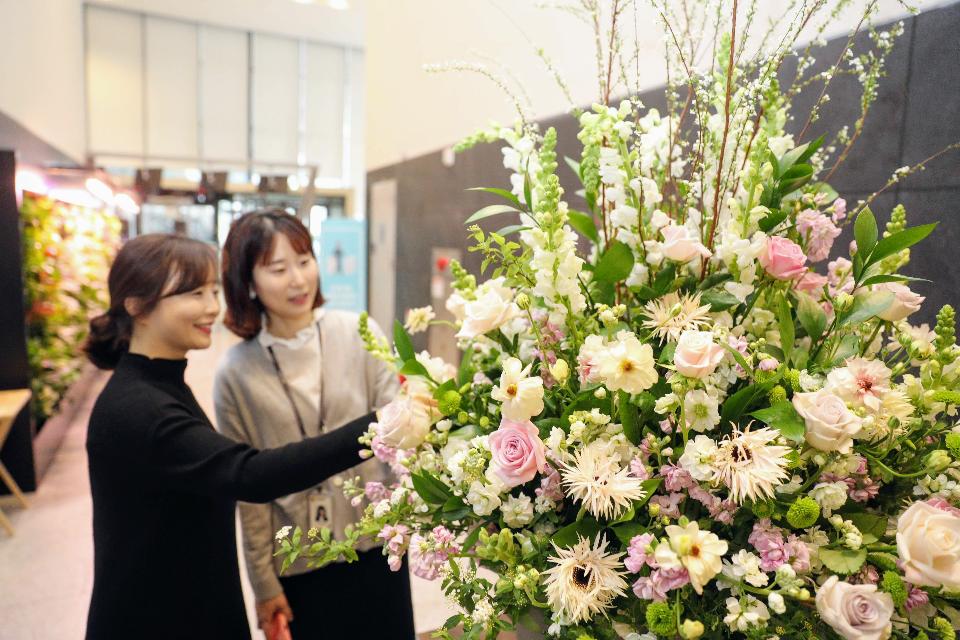 <p>코로나19에 따른 영향으로 인해 졸업식이 축소되거나 취소되어 꽃다발 등 꽃소비가 감소해 화훼농가가 어려움을 겪고 있다. 13일, 농식품부는 화훼농가의 어려움을 돕고자 화훼 소비촉진과 농가 자금 지원 방안을 마련하여 발표했다. <br>
 2~3월 중 농식품부, 소속·산하기관, 농협 등(21개 기관)이 우선적으로 ‘사무실 꽃 생활화(1Table 1Flower)’, 화훼장식 등을 통해 270만 송이 집중 구매할 예정이다. <br>
<br> * ‘공공부문 화훼소비 확대’의 일환으로 농식품부에서 화원을 통해 구매한 대형 화훼장식</p>