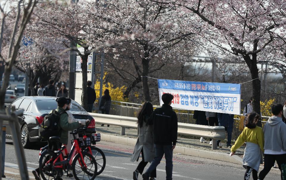 29일 휴일 오후 서울 여의도 국회 뒤편에 4월 2일부터 여의도 벚꽃 길 보행로를 전면 통제한다는 현수막이 걸려 있다. 이날 여의도를 찾은 시민들이 봄 햇살을 받으며 벚꽃 길을 걷고 있다.