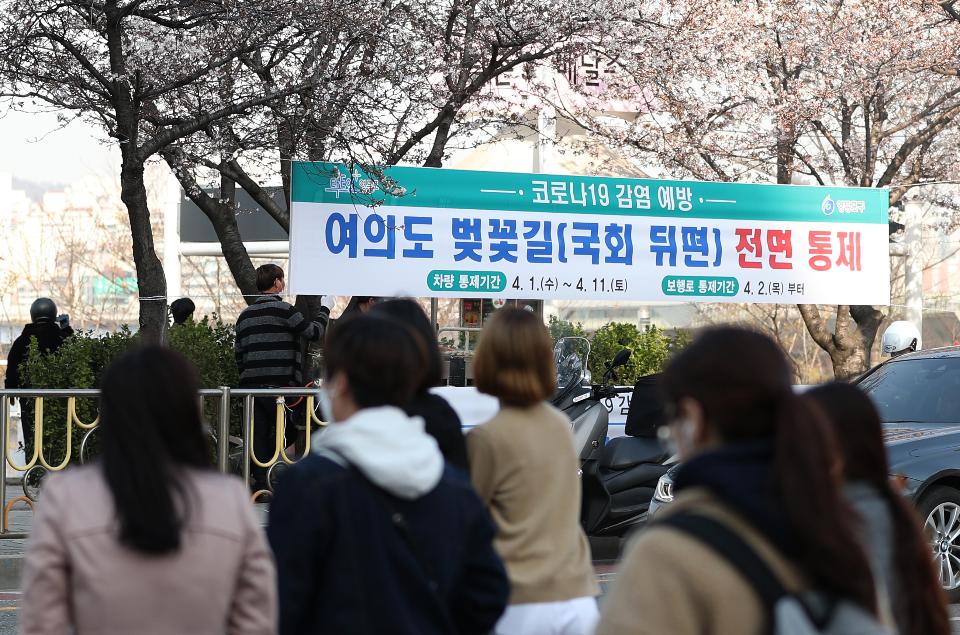 29일 휴일 오후 서울 여의도 국회 뒤편에 4월 2일부터 여의도 벚꽃 길 보행로를 전면 통제한다는 현수막이 걸려 있다. 이날 여의도를 찾은 시민들이 봄 햇살을 받으며 벚꽃 길을 걷고 있다.