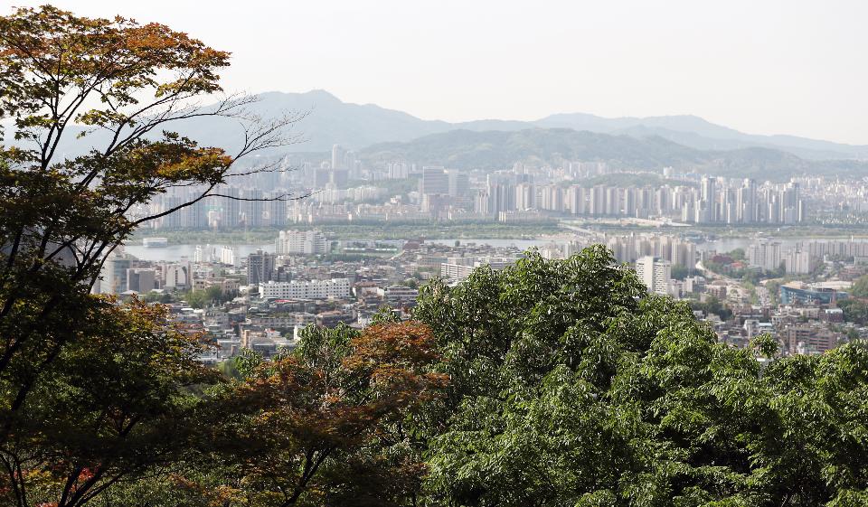 21일 서울 용산구 남산 전망대에서 바라 본 도심이 5월의 신록으로 물들어 있다.