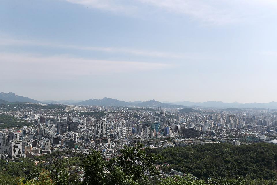 21일 서울 용산구 남산 전망대에서 바라 본 도심이 5월의 신록으로 물들어 있다.