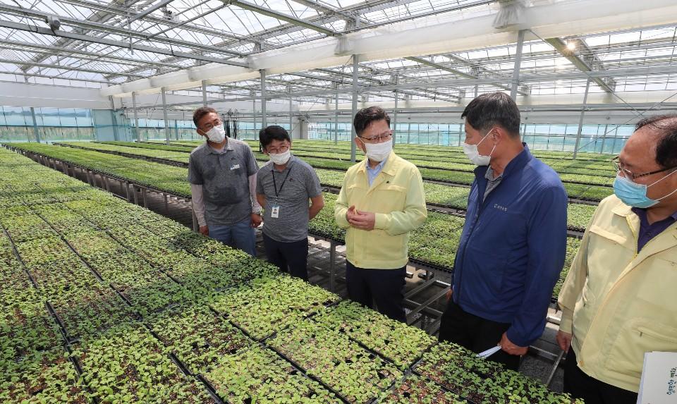 <p>김현수 농림축산식품부 장관은 8.13일(목) 오후 충남 아산 소재 가을배추 육묘장을 방문·격려하고 인근 벼 병해충 방제 현장을 점검하고 있다. </p>