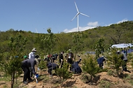 환경단체 및 산림생태복원단체와 함께하는 나무심기 행사 개최 사진 3