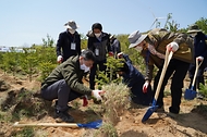 환경단체 및 산림생태복원단체와 함께하는 나무심기 행사 개최 사진 2