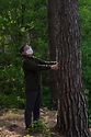 금강소나무 숲 생태적 관리와 보호지역 관리강화 방안 논의 사진 3