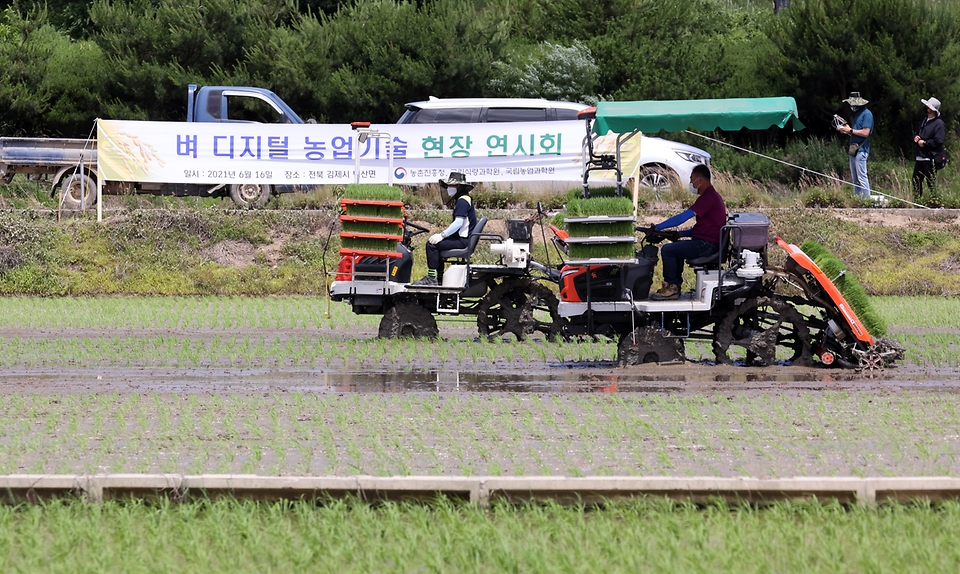 ‘벼 디지털농업 현장 연시회’가 열린 16일 전북 김제시 백산면의 현장실증포장에서 이양기가 모심기를 하고 있다.