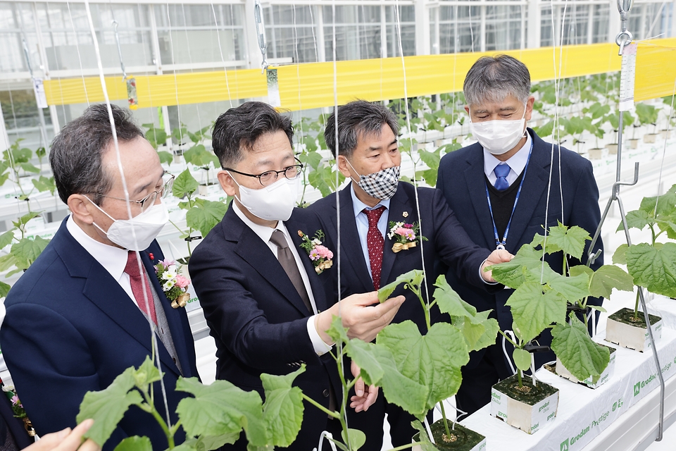 김현수 농림축산식품부 장관이 내빈들과 29일 김제시 백구면 스마트팜 혁신 밸리 준공식에서 현장을 둘러보고 있다. 