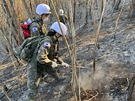 육군, 전국 곳곳 산불 진화에 총력 사진 6
