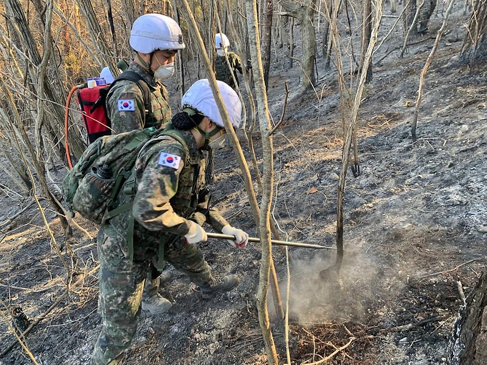 6일 육군 장병들이 산불 진화 현장에서 잔불 제거를 하고 있다.