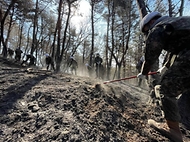 육군, 전국 곳곳 산불 진화에 총력 사진 1
