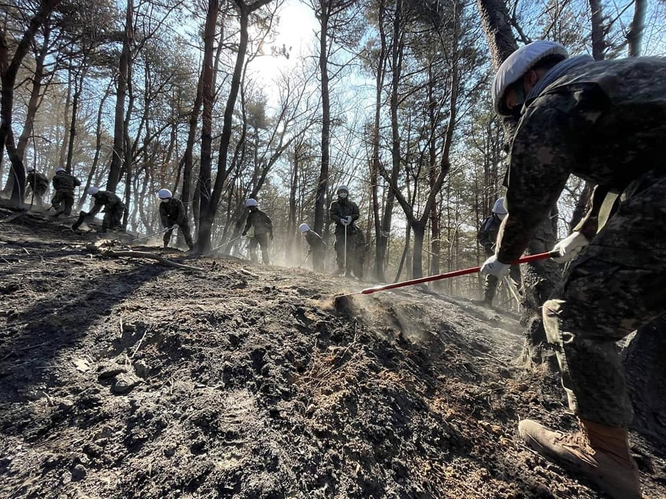 6일 육군 장병들이 경북 울진군 북면 고성1리, 명도1,2리 일원 산불 피해현장에서 잔불 정리 작전을 전개하고 있다.