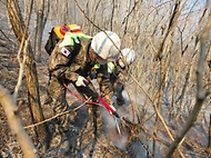 육군, 전국 곳곳 산불 진화에 총력 사진 4