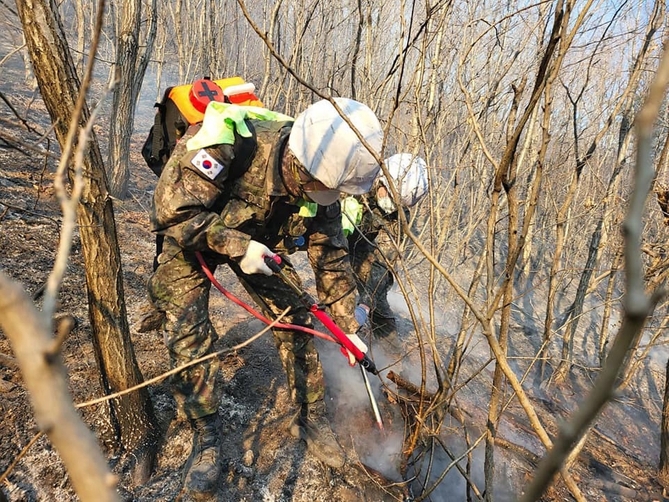 6일 육군 장병들이 경북 울진군 북면 고성1리, 명도1,2리 일원 산불 피해현장에서 잔불 정리 작전을 전개하고 있다.