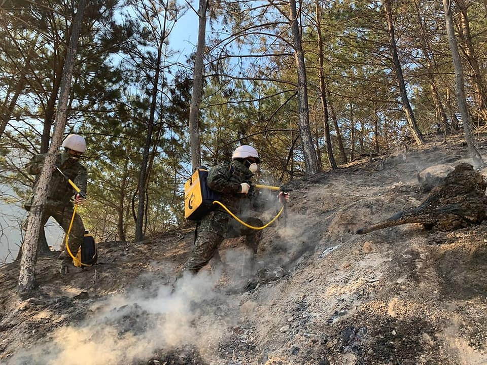 6일 육군 장병들이 산불 진화 현장에서 잔불 제거를 하고 있다.