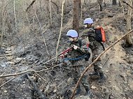 육군, 전국 곳곳 산불 진화에 총력 사진 7