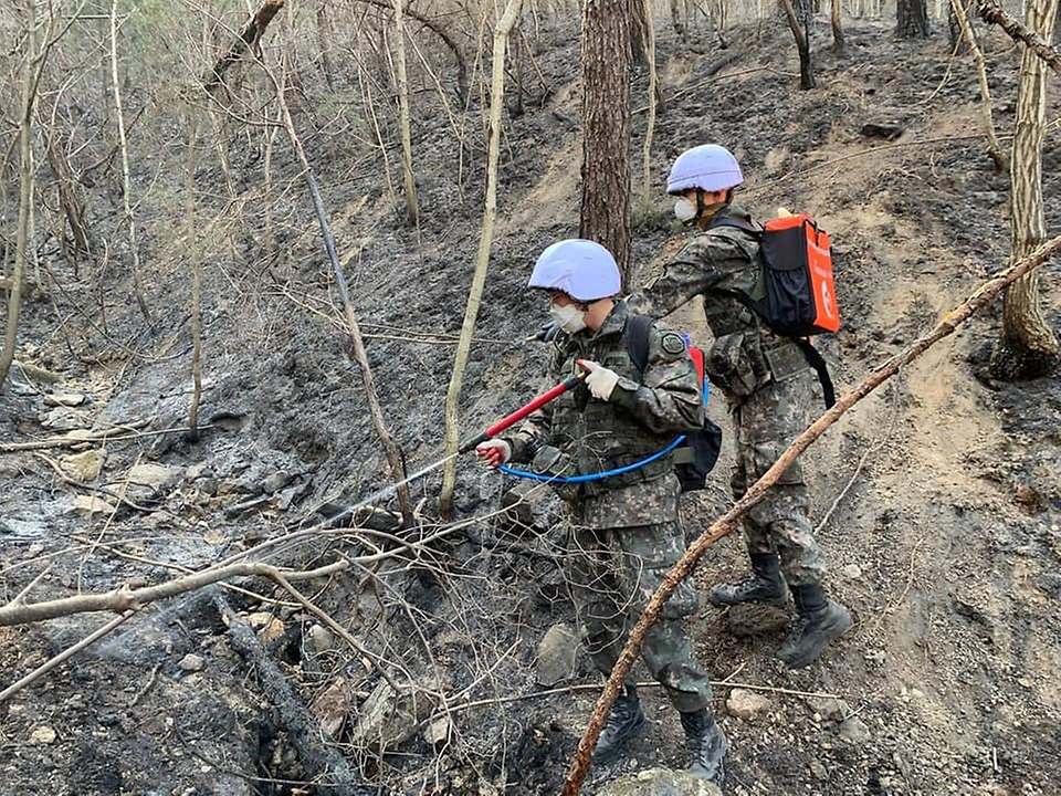 6일 육군 장병들이 산불 진화 현장에서 잔불 제거를 하고 있다.