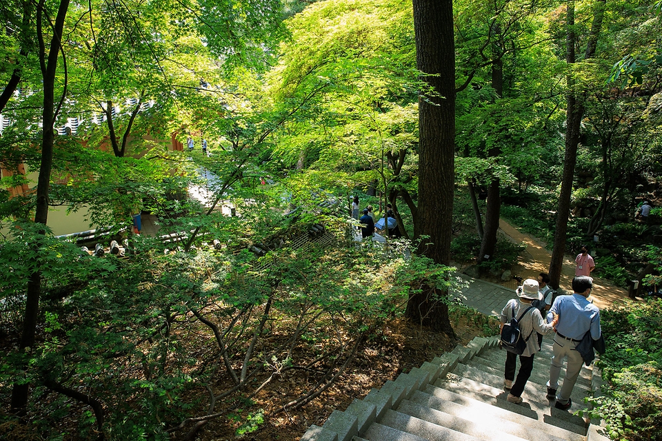 <p>12일 서울 종로구 청와대에서 열린 ‘청와대, 국민품으로’ 개방행사에 참석한 시민들이 시설을 둘러보고 있다.</p> 상춘재 가는길