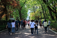 개방한 청와대 관람하는 시민들 사진 18