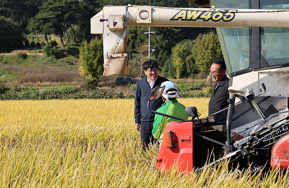 조재호 농촌진흥청장이 14일 전북 김제시에 위치한 가루쌀 품종 ‘바로미2’ 종자생산단지를 찾아 재배에 참여한 농업인과 대화를 하고 있다.