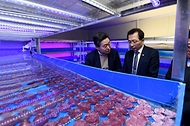 조승환 해수부 장관, 목포 수산식품 거점단지 점검 사진 8