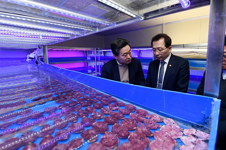 조승환 해양수산부 장관이 10일 전남 목포시 목포수산식품지원센터를 방문, 제품 연구·생산시설을 점검하고 있다.