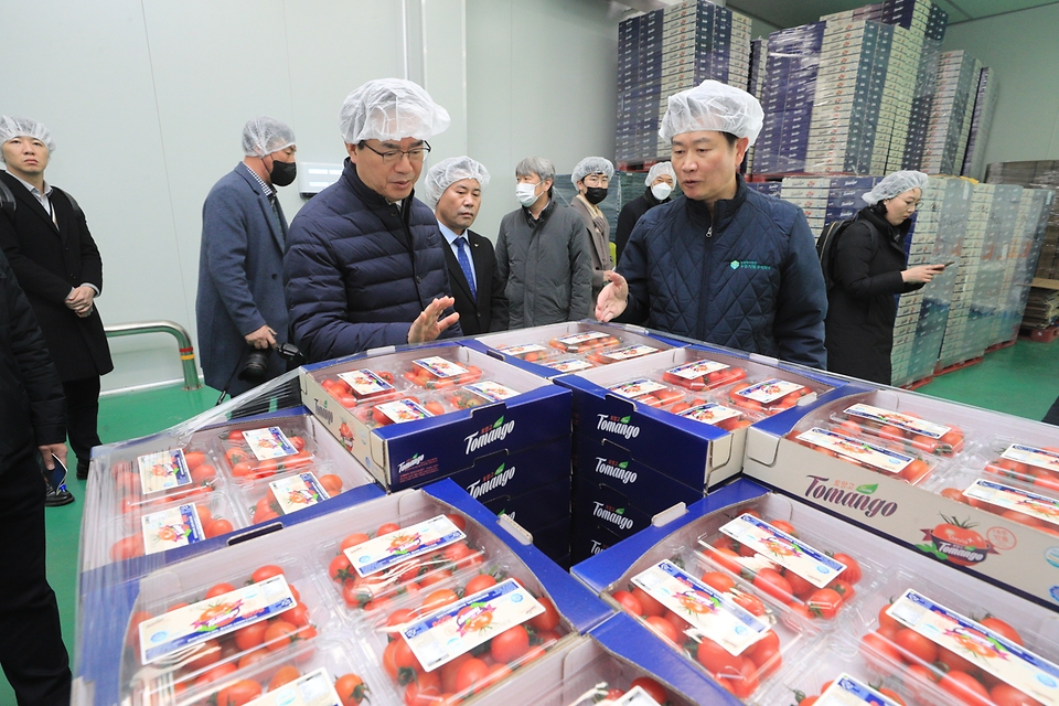 정황근 농림축산식품부 장관이 16일 충남 부여군 우듬지팜을 방문, 스마트팜 방울토마토 포장시설을 점검하고 있다.