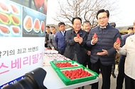 정황근 농식품부 장관, 딸기 생산 농가 현장 방문 사진 1